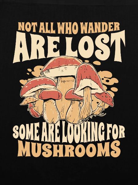 Pilz Pilze Funghi Champignon