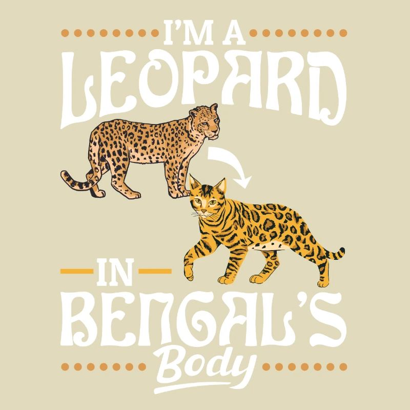 Léopard dans le corps du Bengale Race de chat américain