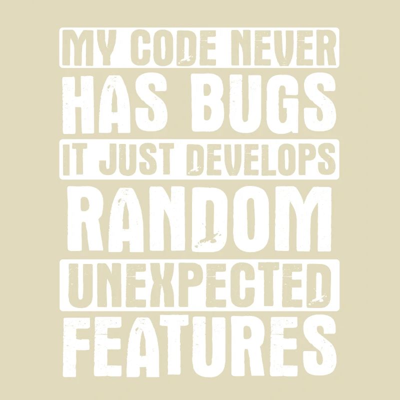 Software Ingenieur Informatiker Programmierer