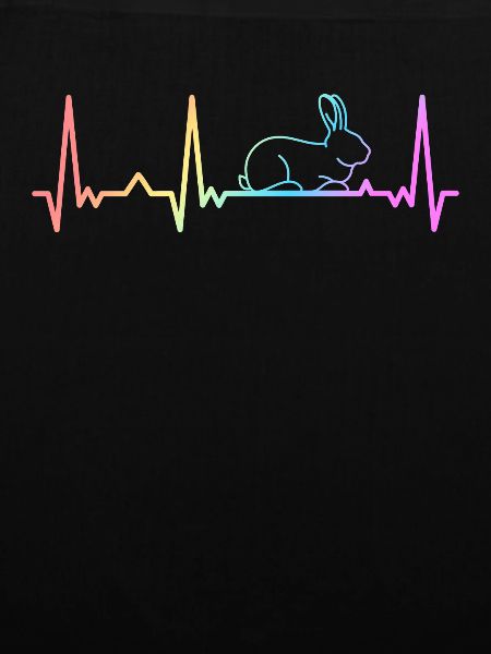 Rabbit Rabbit Rabbit Pet