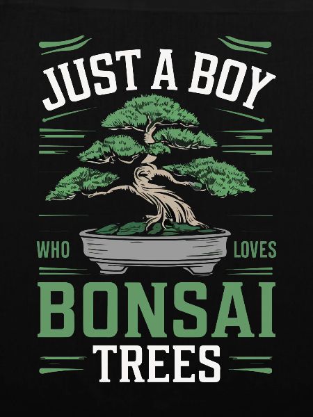 Bonsai Baum Japanisch Bonsai