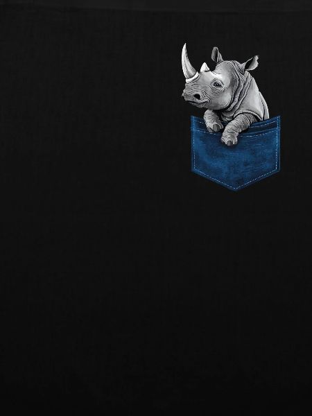 Nashorn Rhinozeros