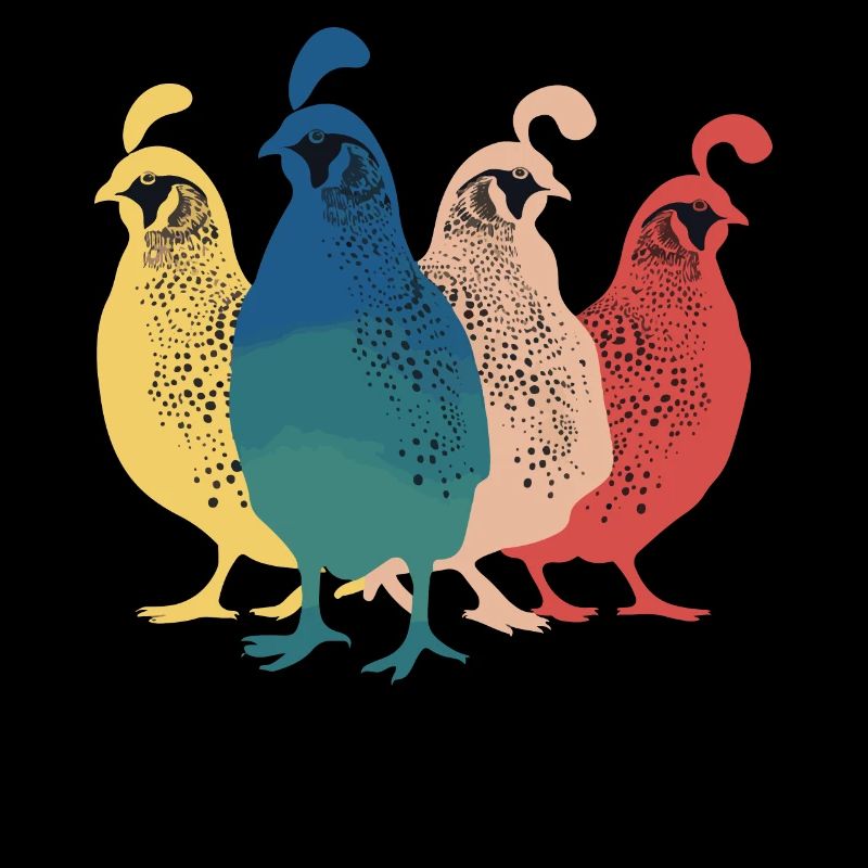 Caille Oiseau Cailles