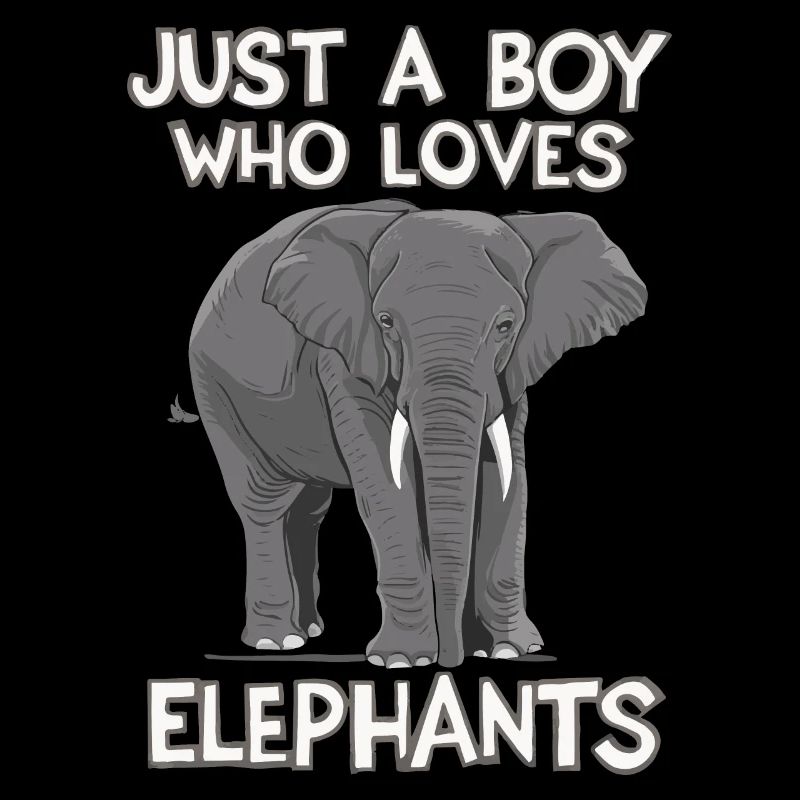 Elefant Tier Elefanten Zoo