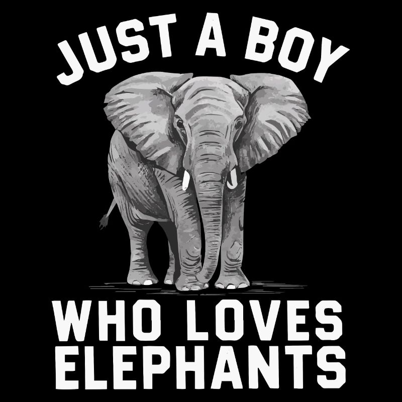Elefant Tier Elefanten Zoo