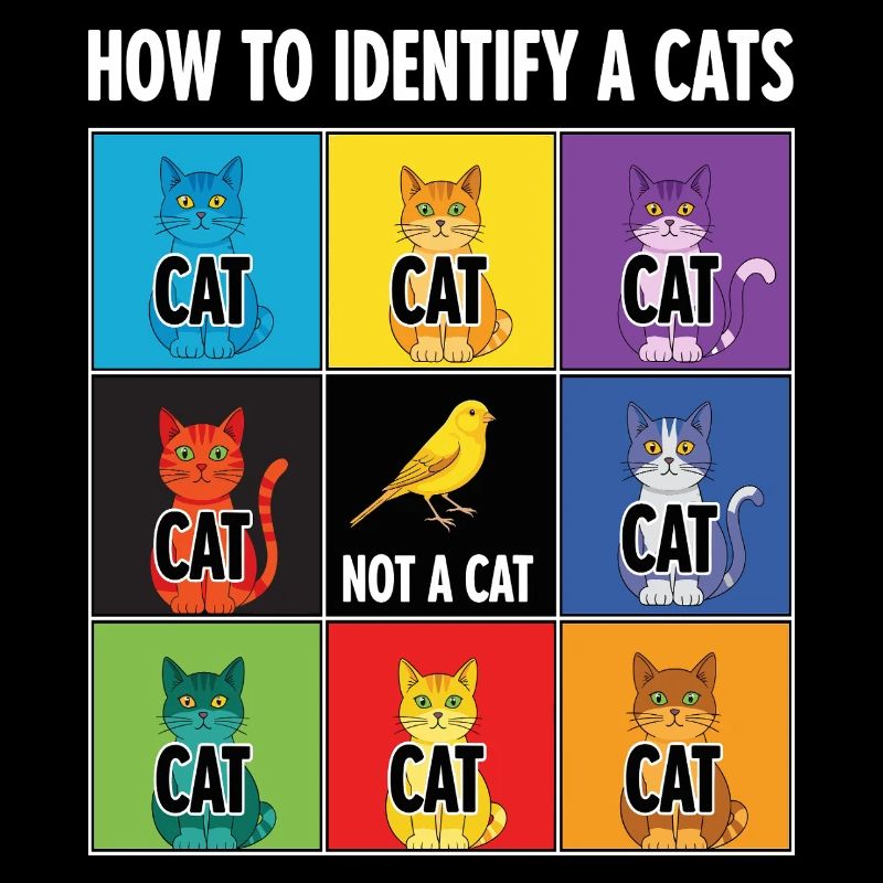 Guide d’identification des chats