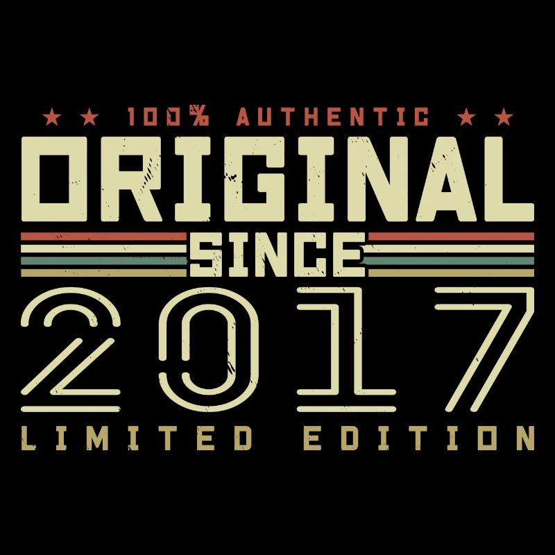 Original 2017 Geburtstagsgeschenk 2017 Retro 2017