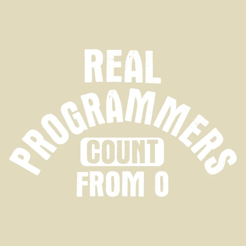 Software Ingenieur Informatiker Programmierer