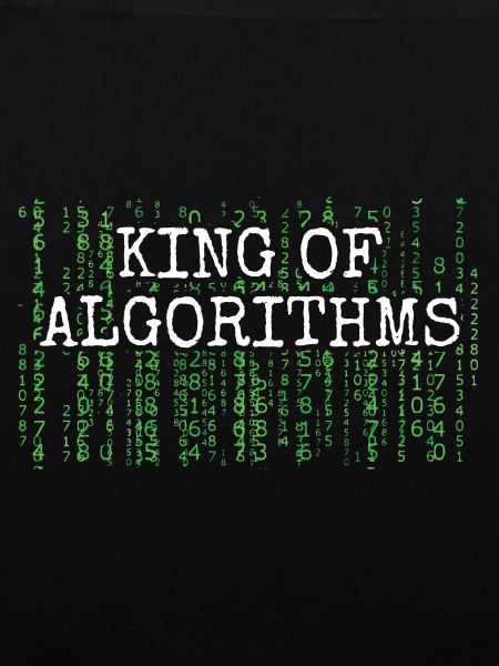 Software Ingenieur Informatiker Programmierer