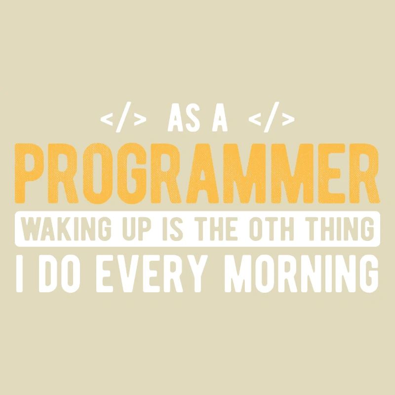 Software Ingenieur Informatiker Programmierer