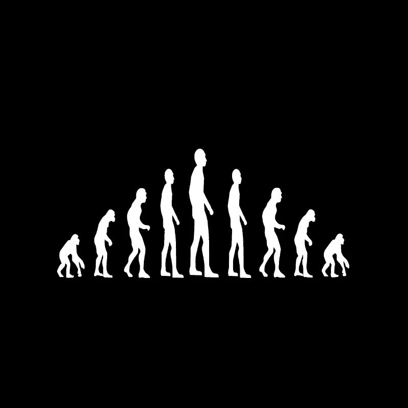 Évolution