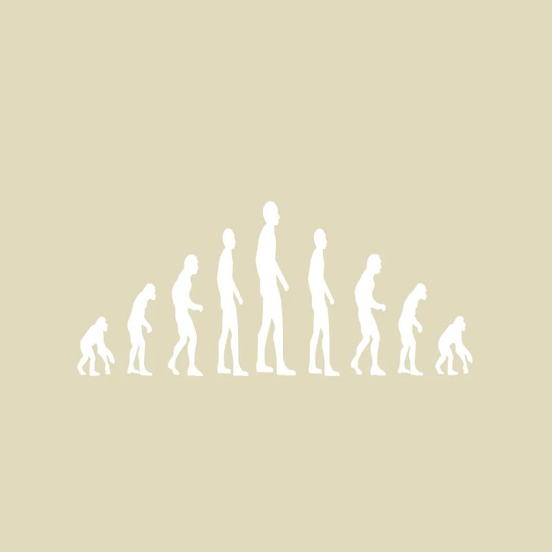 Évolution