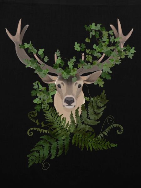 Deer & Ferns