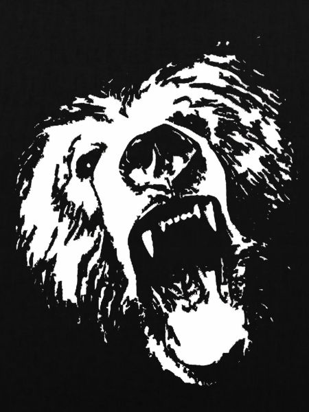 roaring bear