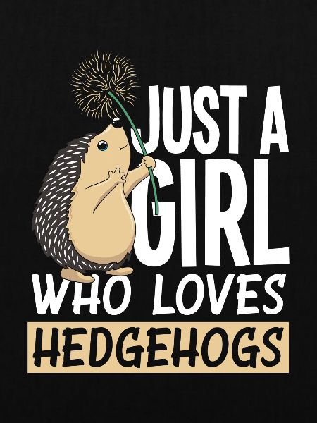 Igel Igel Igel