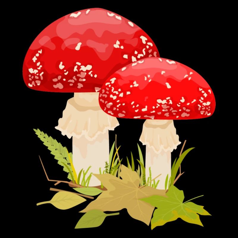 Pilze