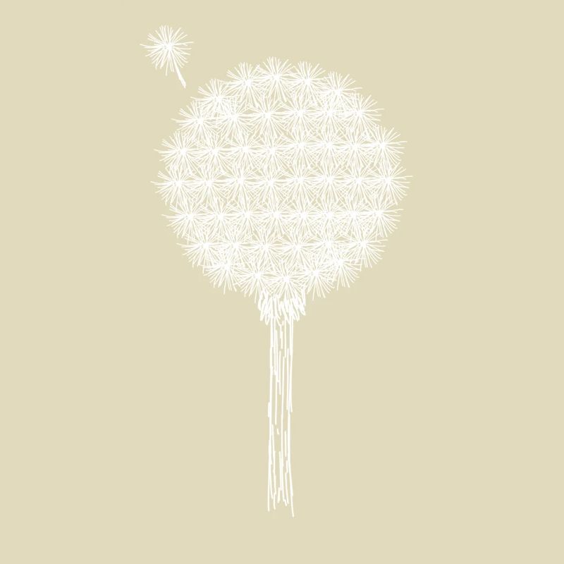 Pusteblume
