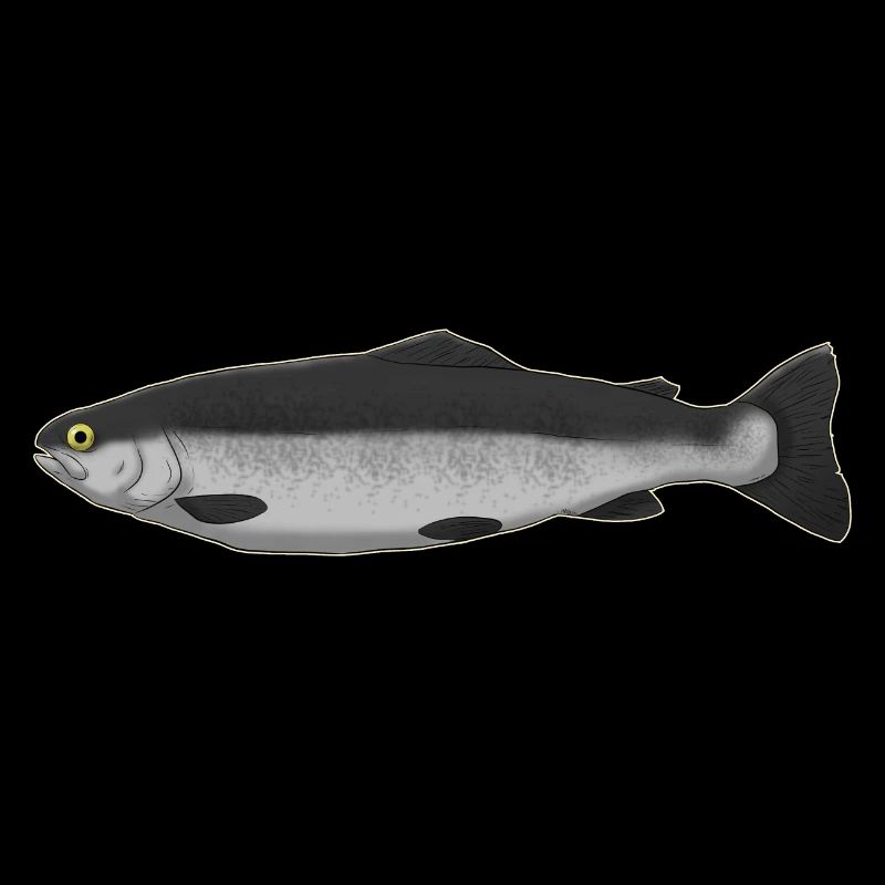 fish Fish