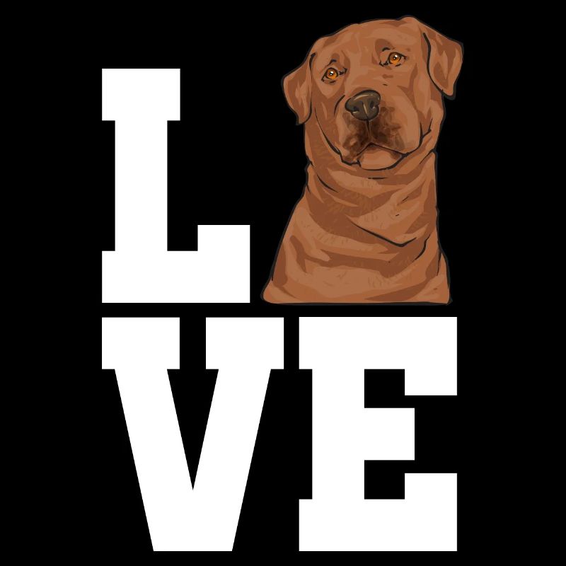 Foxred Labrador Fuchsroter Labrador Retriever