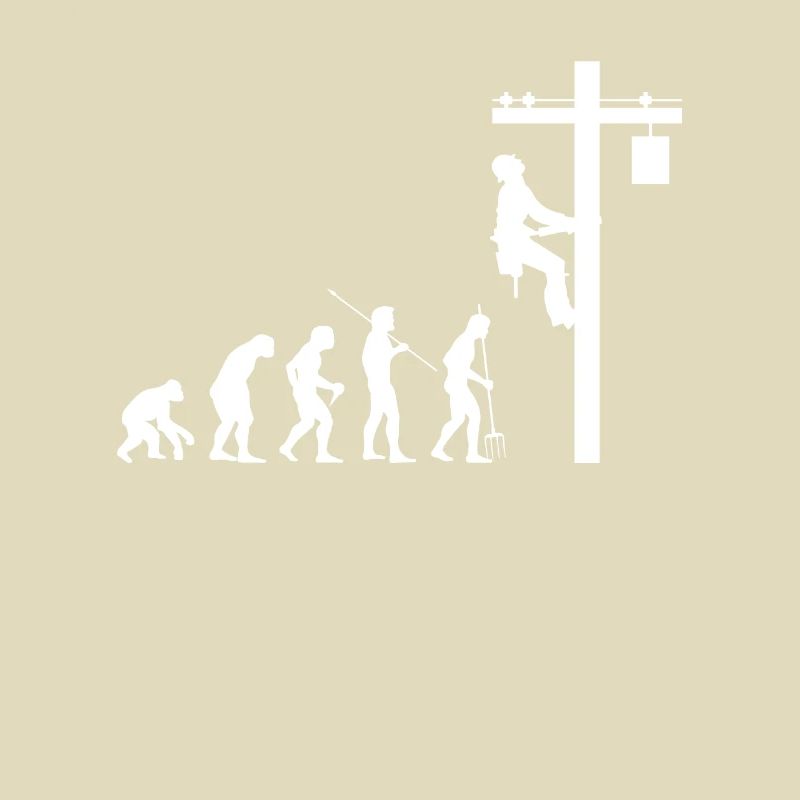 Evolution Elektriker