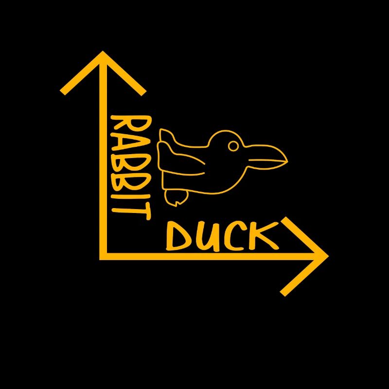 Lapin canard