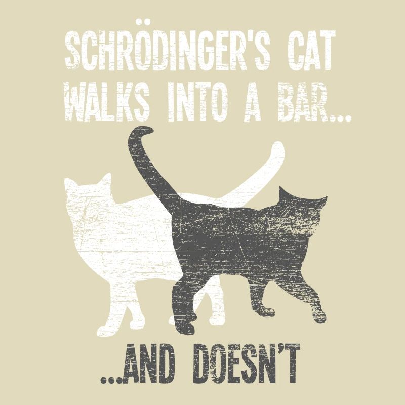 Physics Schrödinger