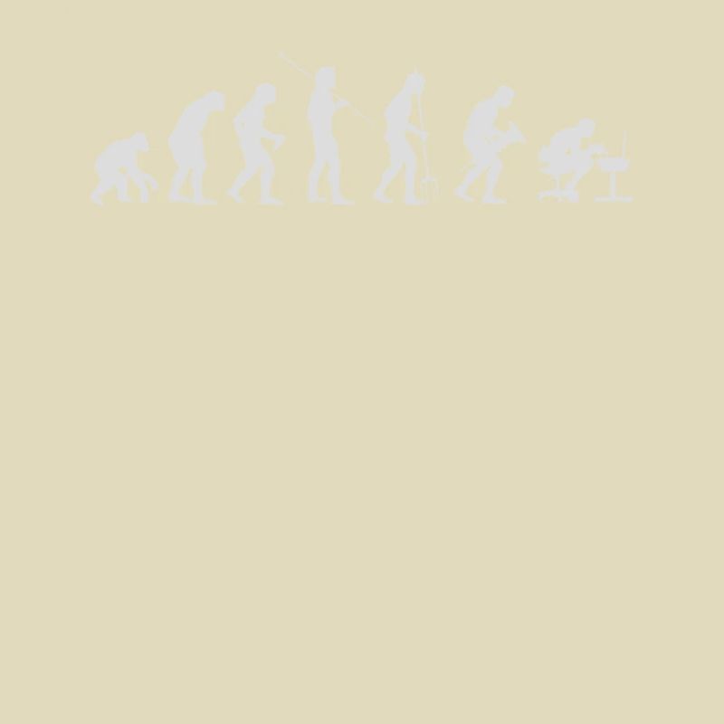Informatiker Evolution