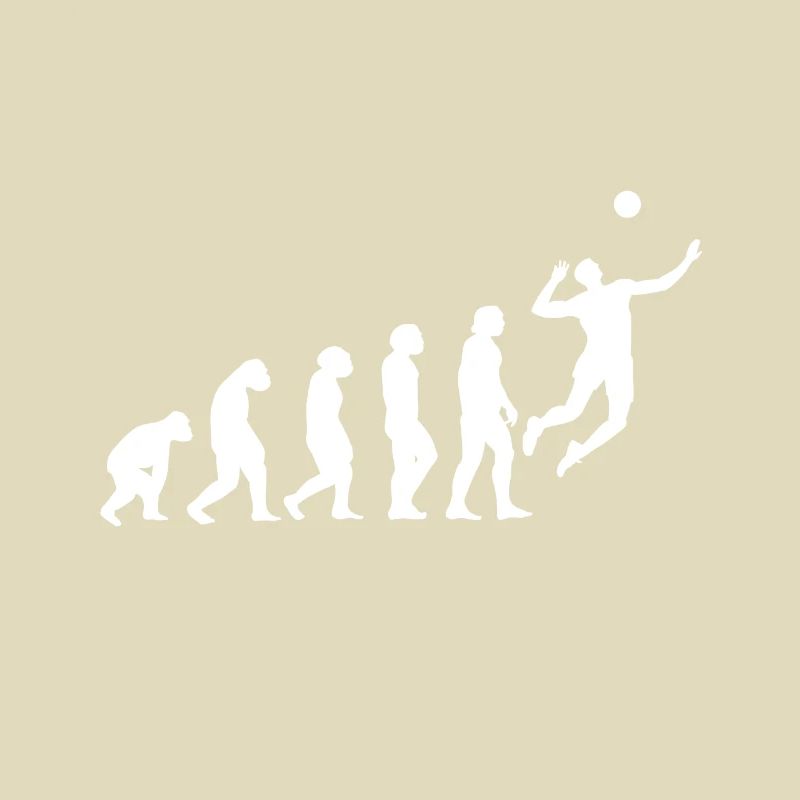 Evolution du volleyball