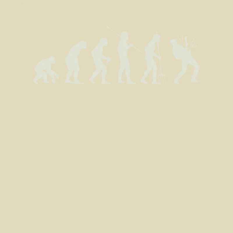 Evolution guitar