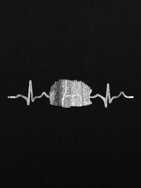 Igel Frequenz Puls