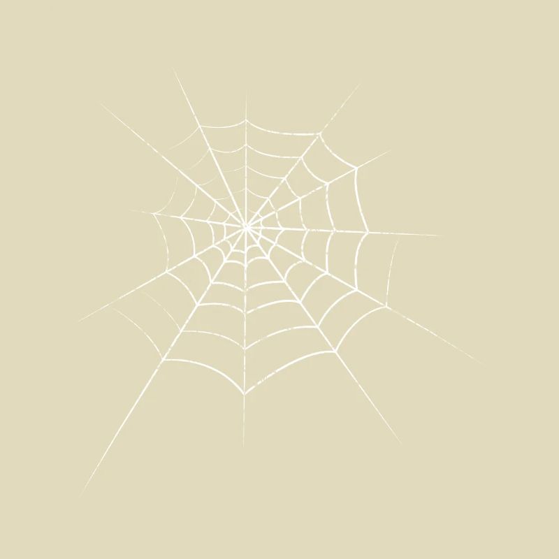 Spider cobweb