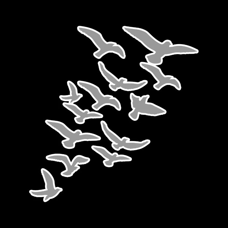 Oiseaux oiseaux migrateurs