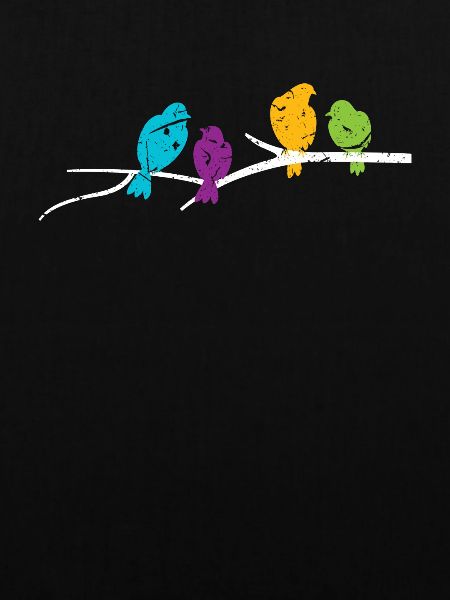 Birds