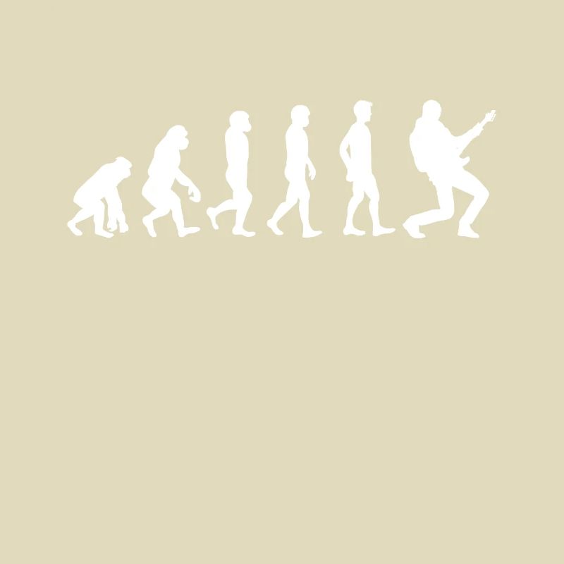 Evolution Gitarre