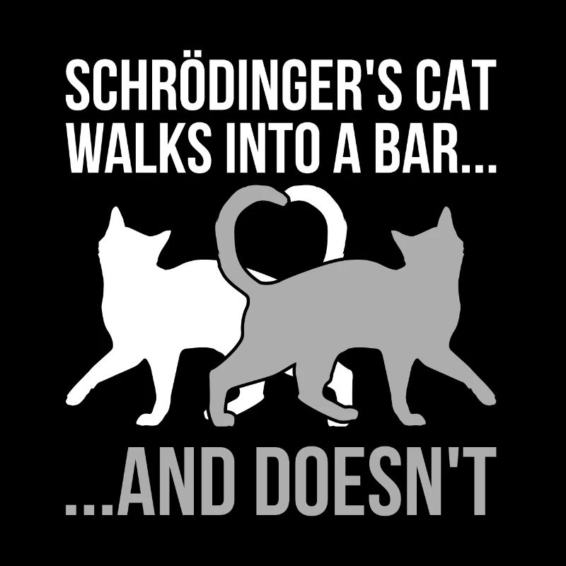 Physik Schrödinger