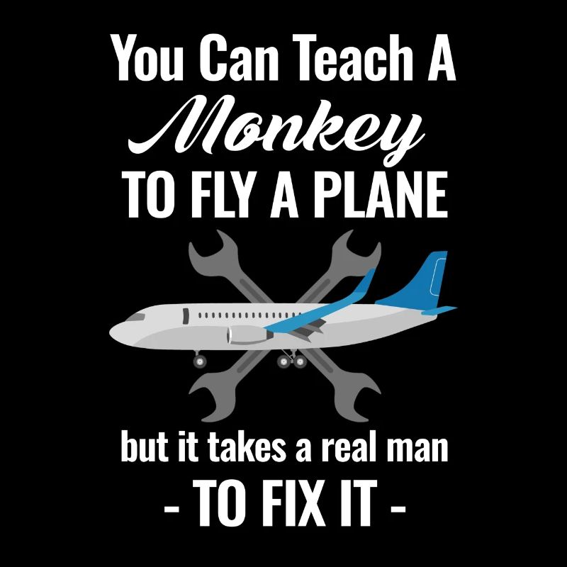 Sie Können Einem Affen Beibringen, Ein Flugzeug