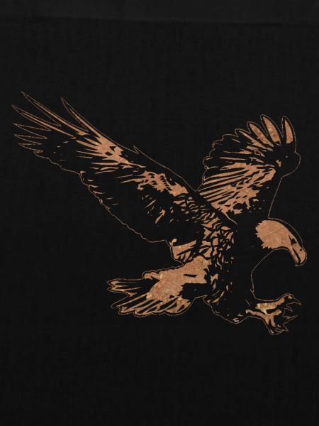 An eagle