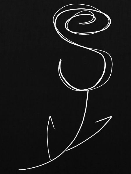 Rose Line Art