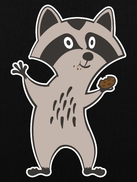 cookie racoon