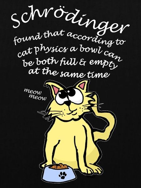 Schrodingers Katzenschale ist Quantum