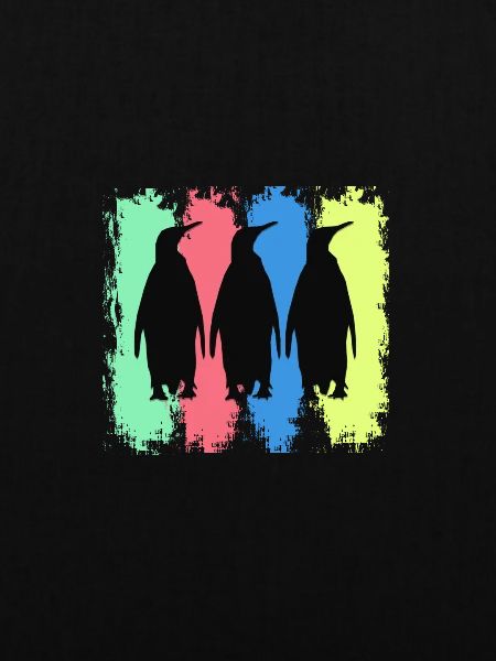Pinguin Seevogel Südpol