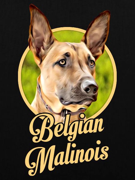 Belgischer Schäferhund Malinois