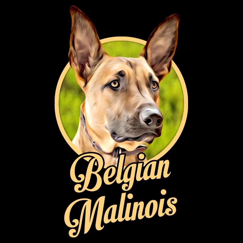 Belgischer Schäferhund Malinois