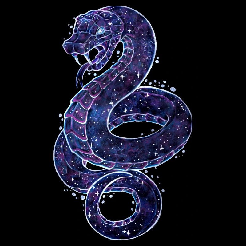 Cool Galaxy Schange Reptil Galaxytier Sternzeichen