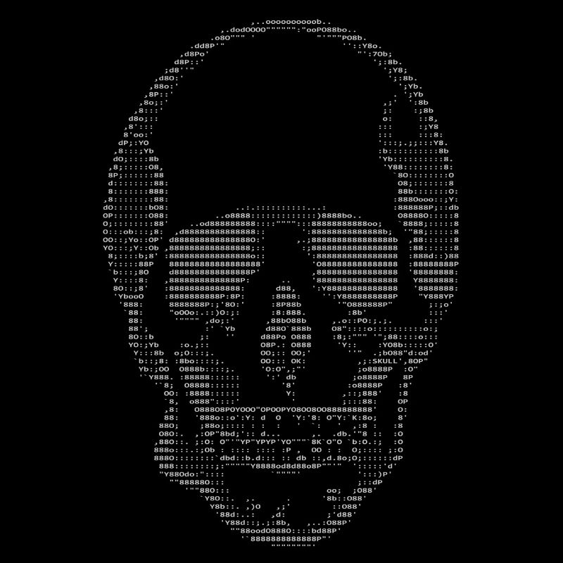 ASCII Code (Skull One Edition)