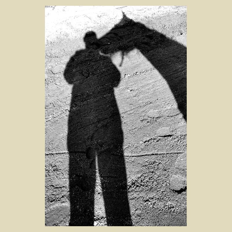 Pferd Schatten