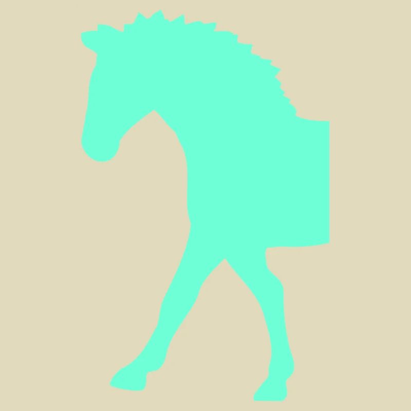 Half Horse Front Part Front Half Front Goes