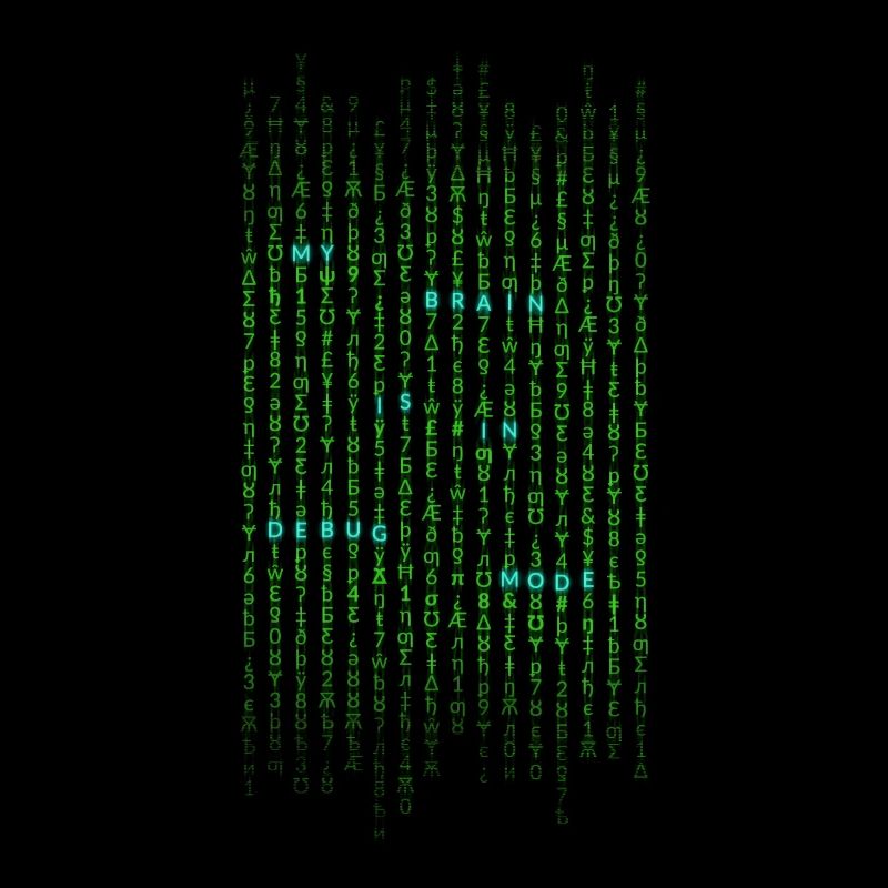My brain is in debug mode