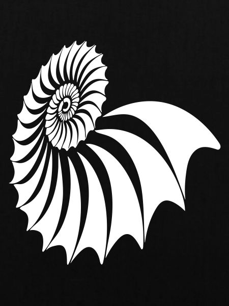 Nautilus Spirale