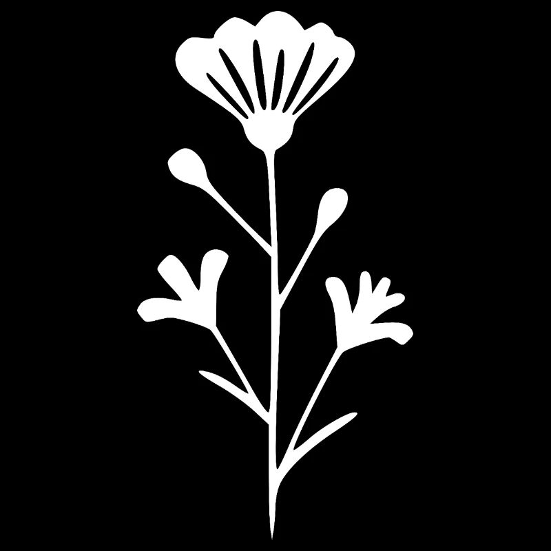 Fleurs Fleurs Fleur Fleurs Herbes Herbes